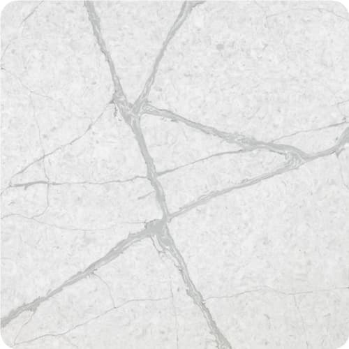 Calacatta Bird White