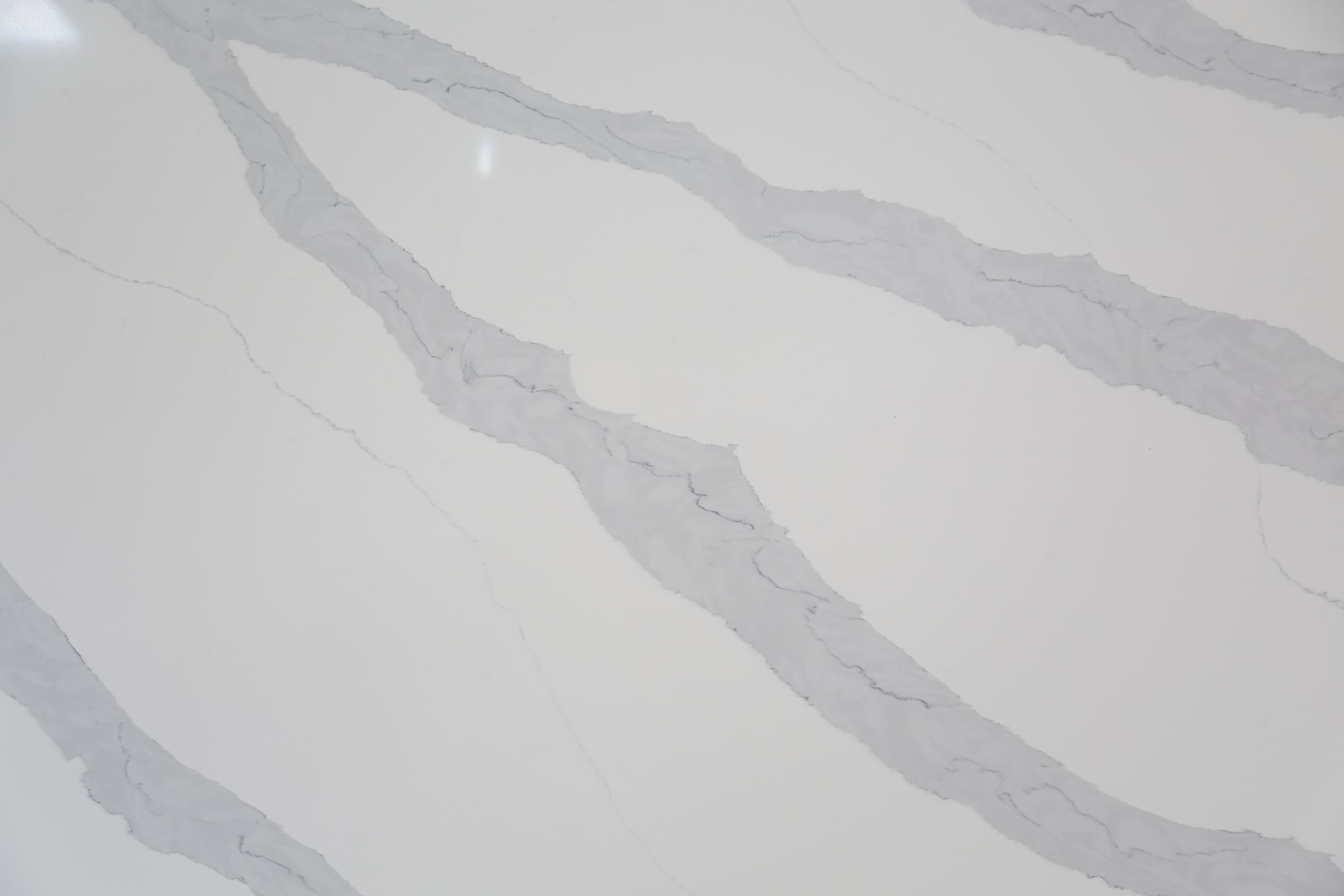 Calacatta Splendor