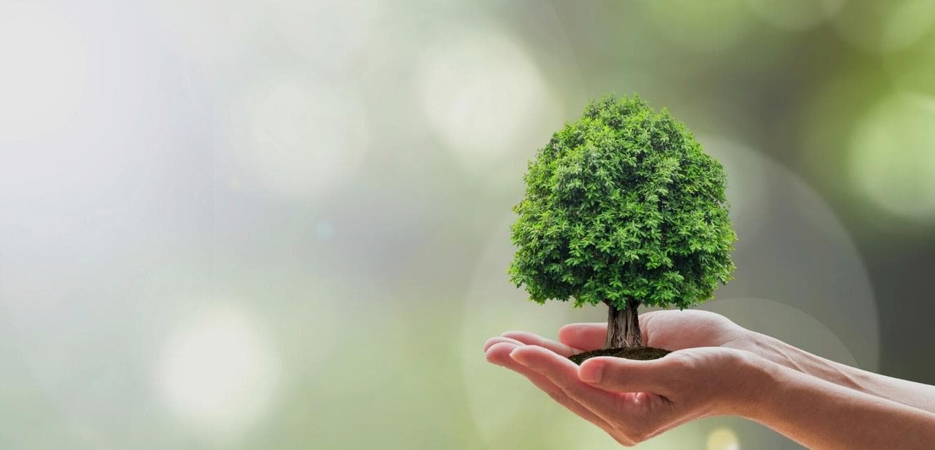 Sustainability